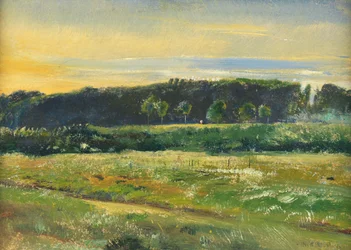 The Common, Juni, 1871